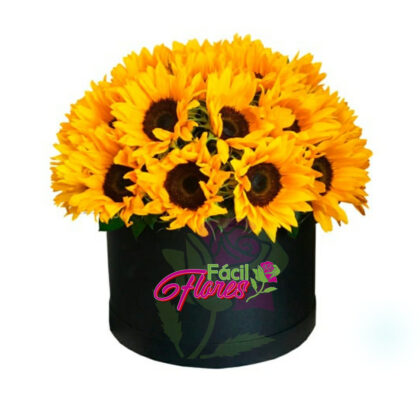 FF-344 Caja de Girasoles