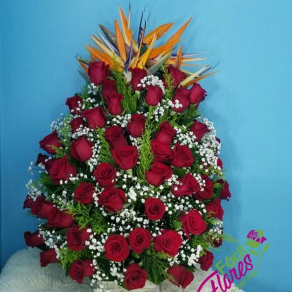 FF-360 Arreglo Frontal