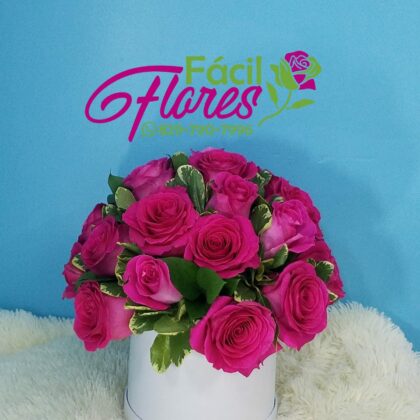 FF-120 Caja de Rosas Rosadas