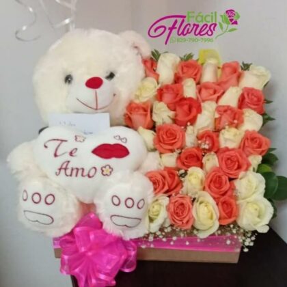 FF-336 Arreglo Frontal