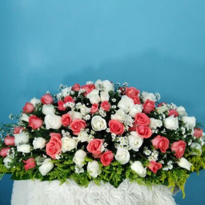 FF-355 Sobre de Caja Deluxe