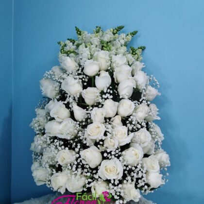 FF-349 Arreglo Frontal