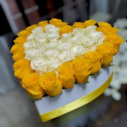 FF-495 Corazón Deluxe