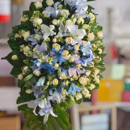 Corona Grande Deluxe